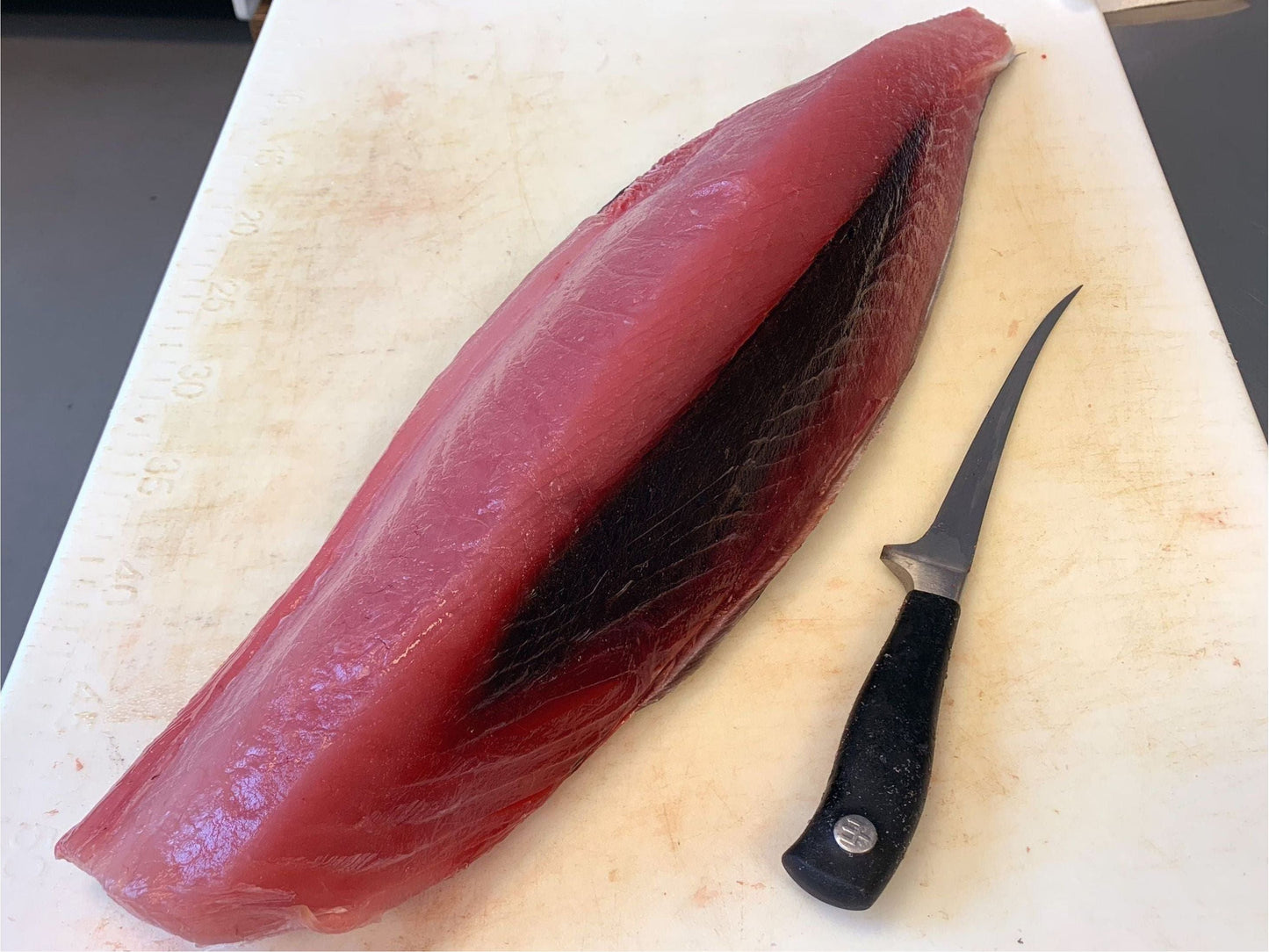 Albacore Tuna