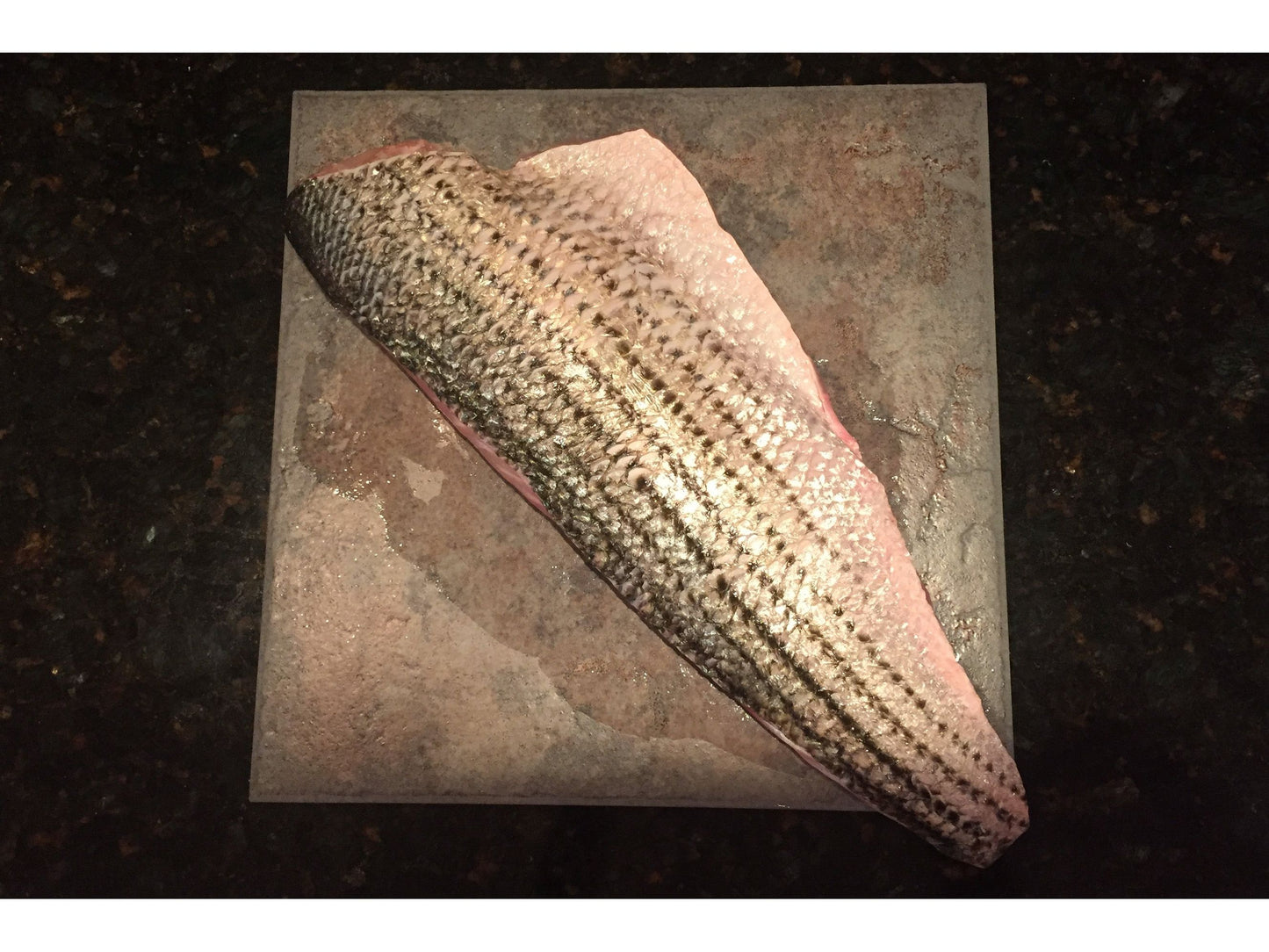 Pacifico Striped Bass