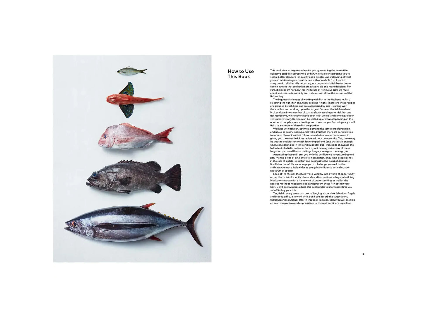 Take One Fish by Josh Niland