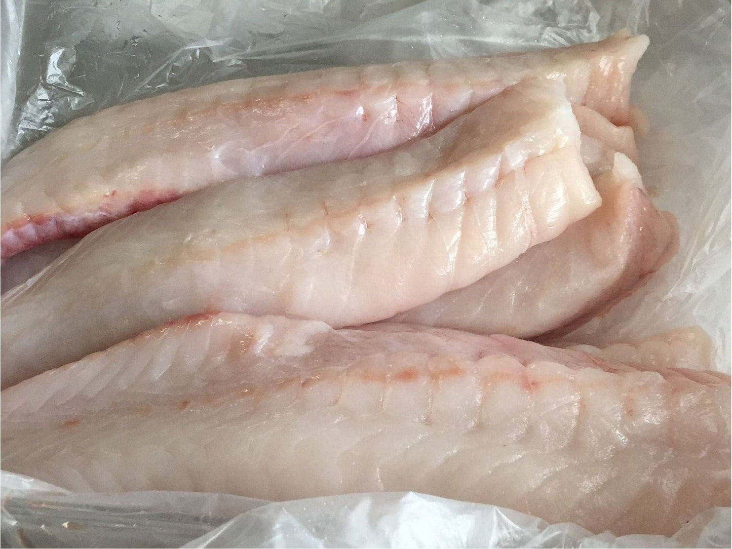 Three pieces of raw fish on a translucent plastic wrap.