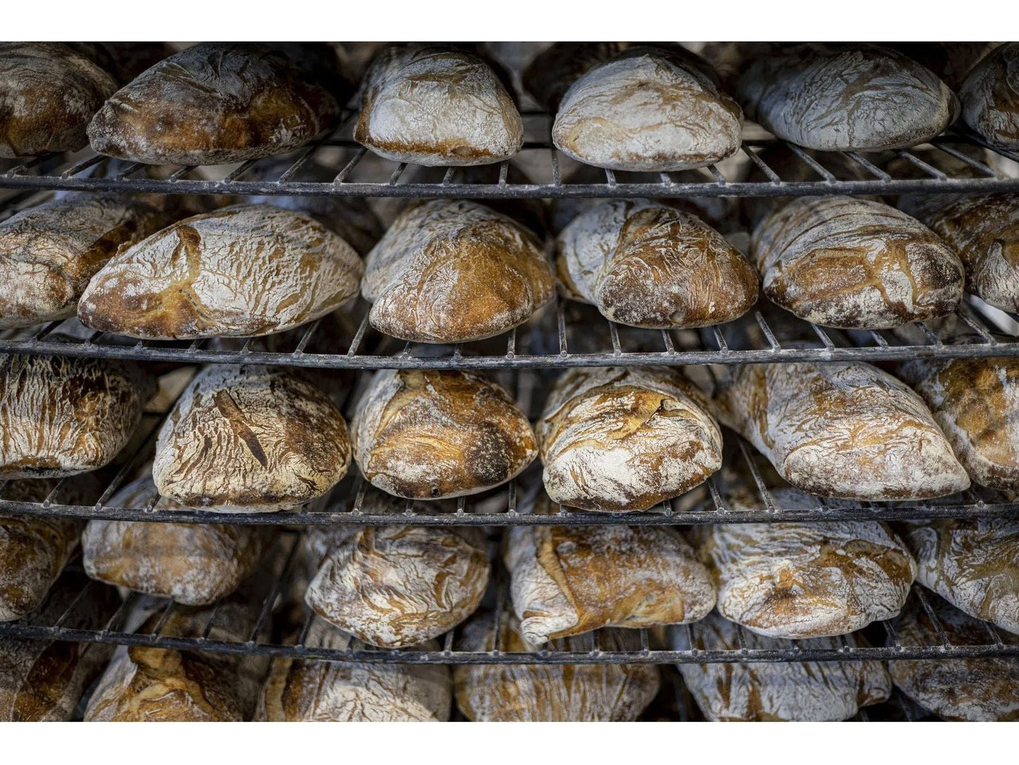 Publican Quality Breads