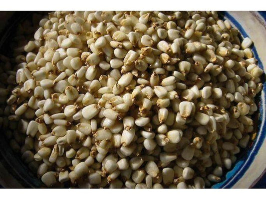 Rancho Gordo Prepared Hominy White Corn Posole