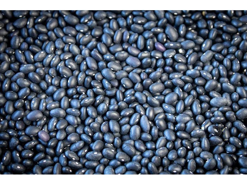 Rancho Gordo Midnight Black Beans