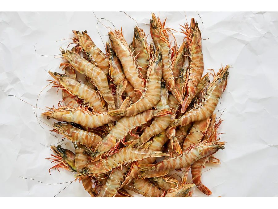 Skull Island Tiger Prawns