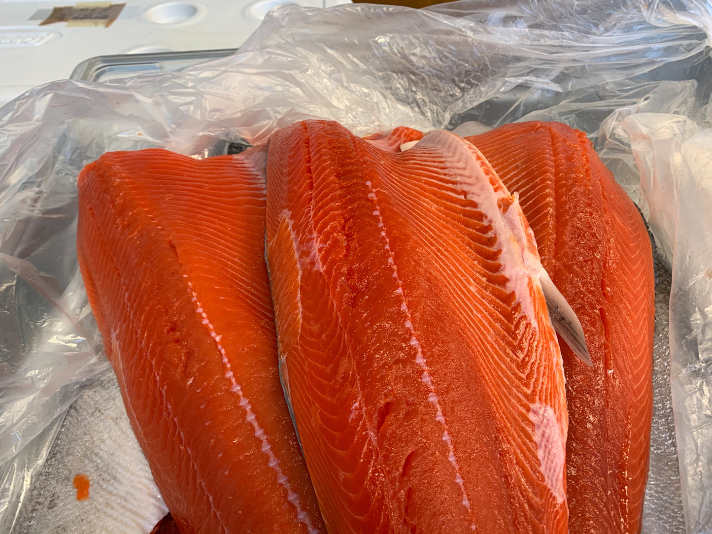 Alaskan Sockeye Salmon