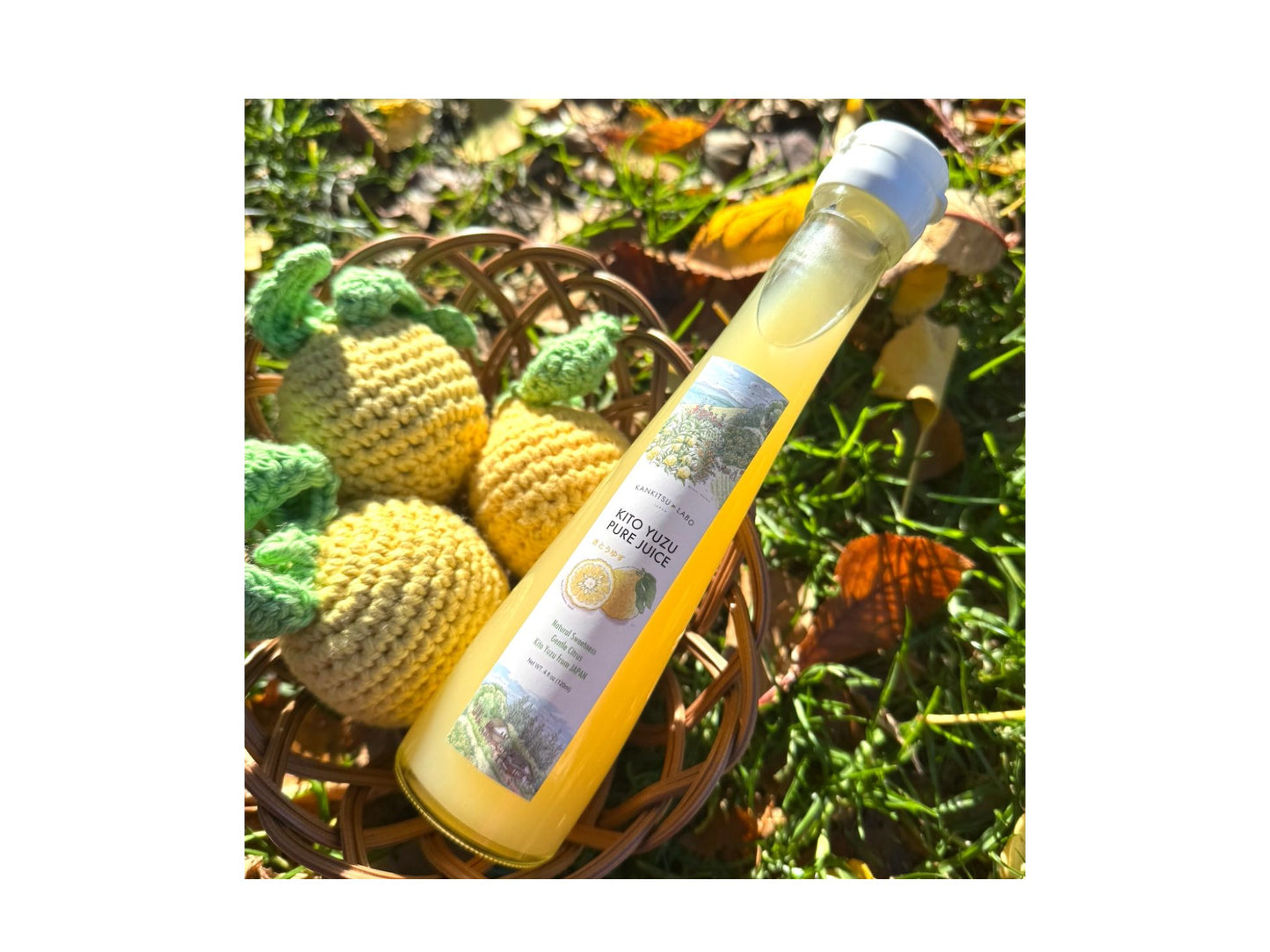 Yuzu Extract, 100% Pure Kito