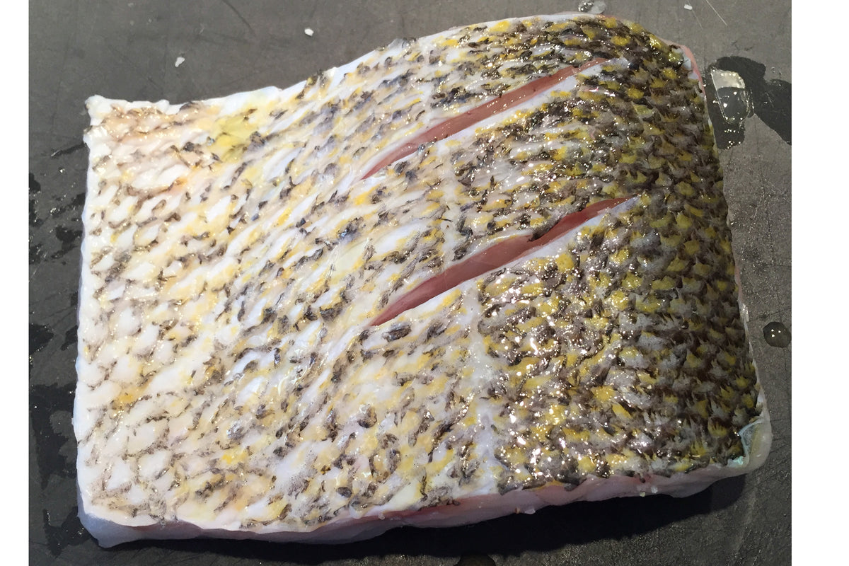 Walleye