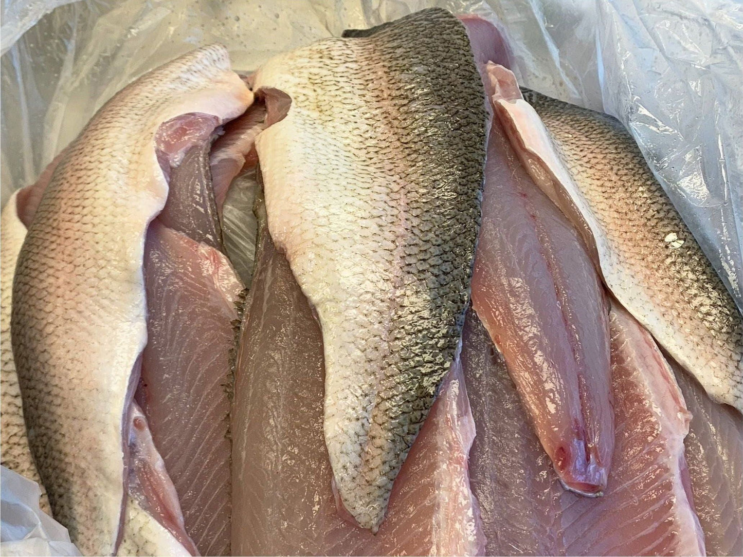 Raw whitefish fillets.