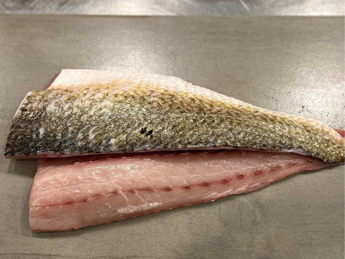 Redfish on the Half Shell