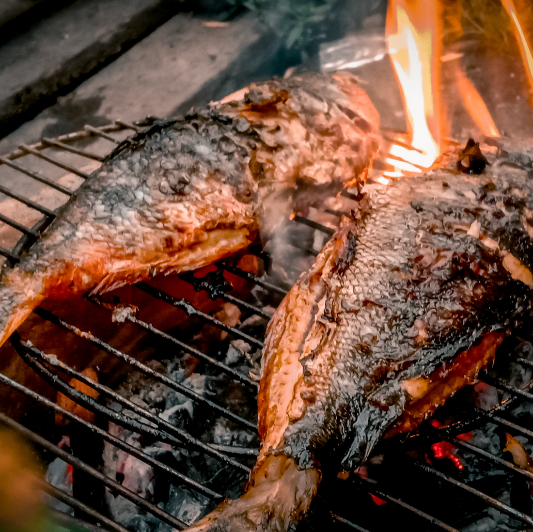 Fish Rosting How to Roast a Whole Fish – Hooked on Fish