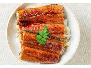 Unagi / Eel (Frozen)