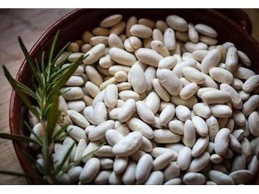 Rancho Gordo Marcella Beans