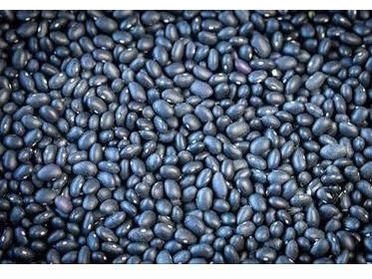 Rancho Gordo Midnight Black Beans