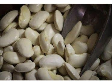 Rancho Gordo Royal Corona Beans