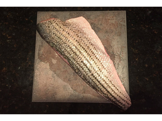 Pacifico Striped Bass