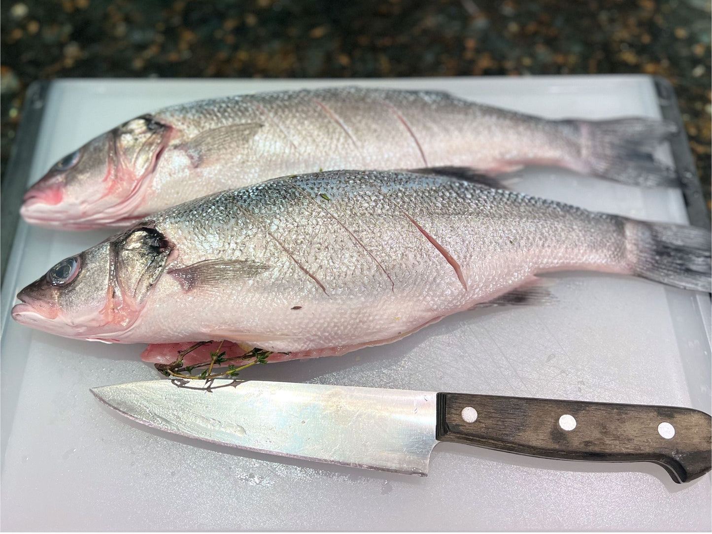 Whole Bronzino