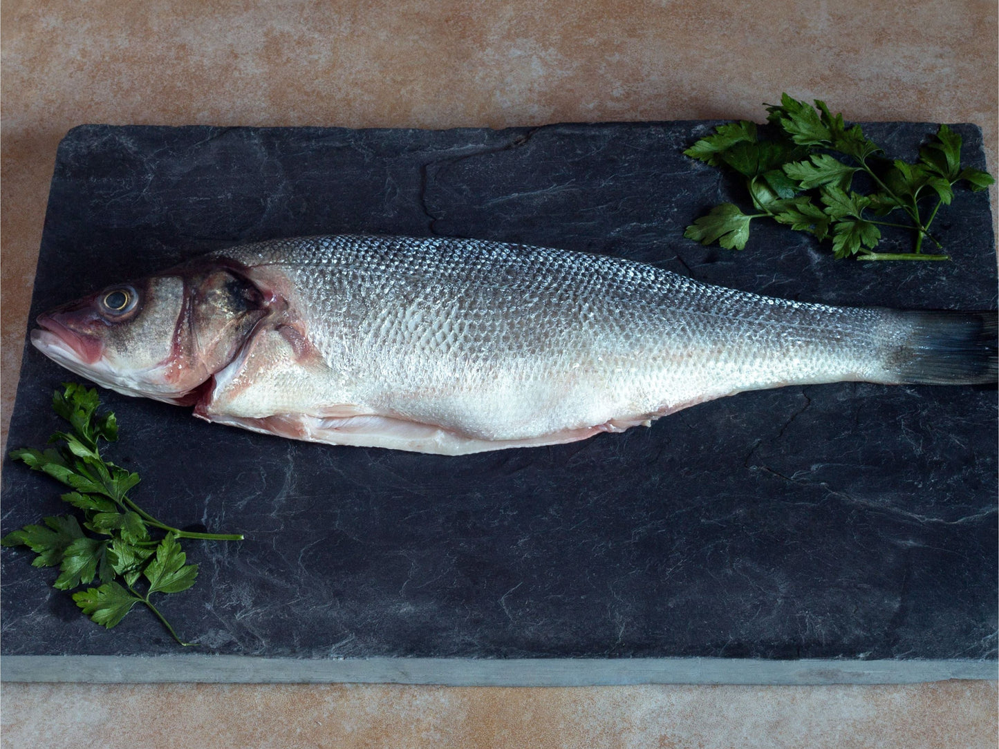 Whole Bronzino