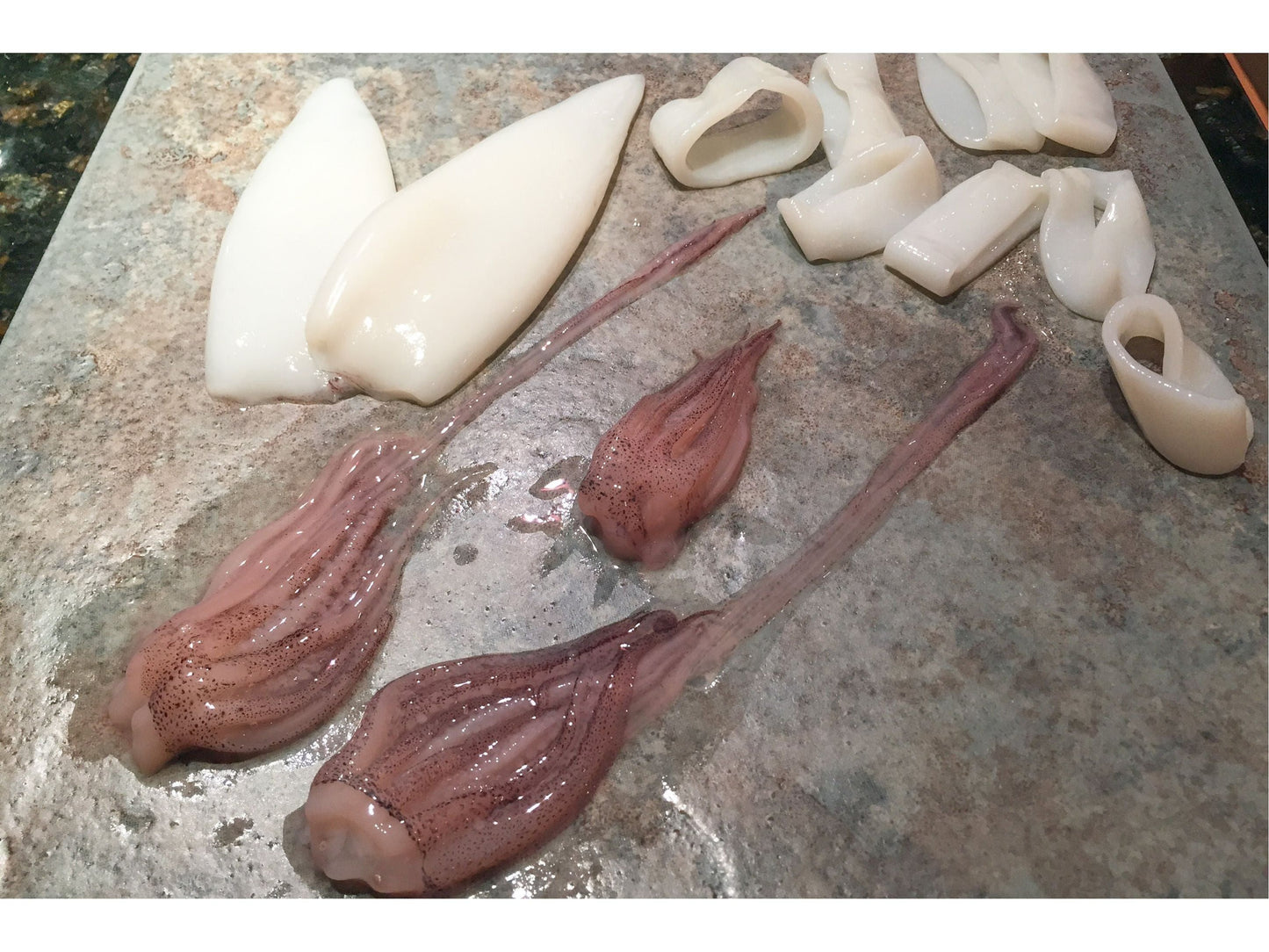 Calamari (Squid)