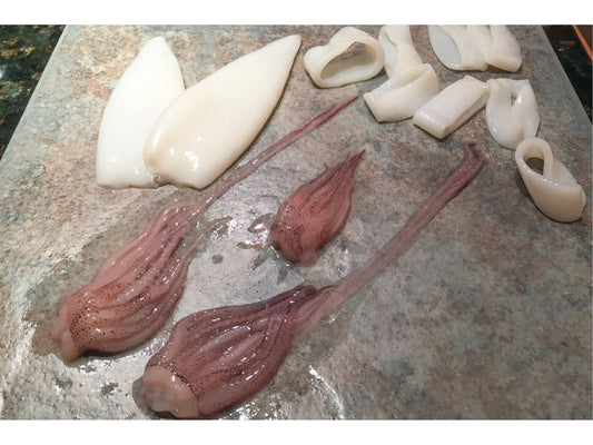 Calamari (Squid)