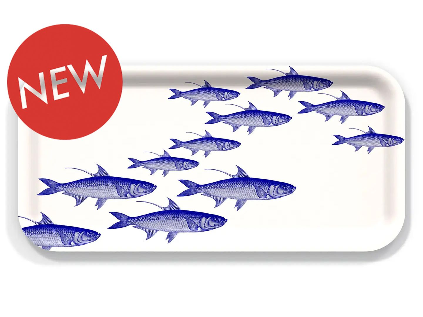 School of Fish Small Rectangular Tray (Caskata)