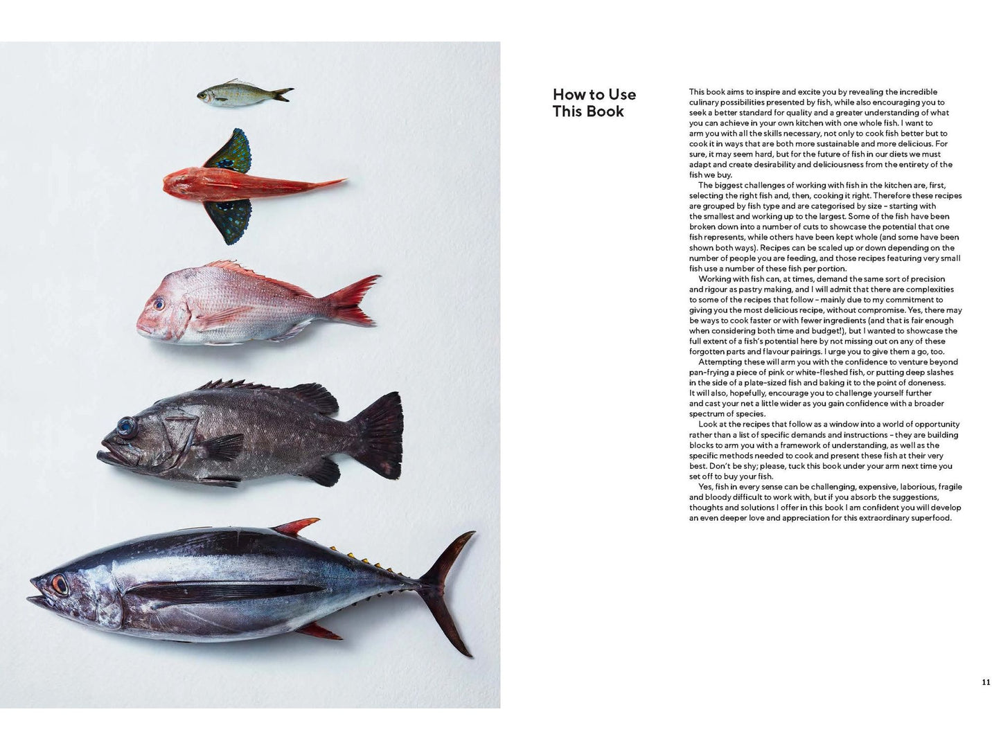 Take One Fish (Josh Niland)