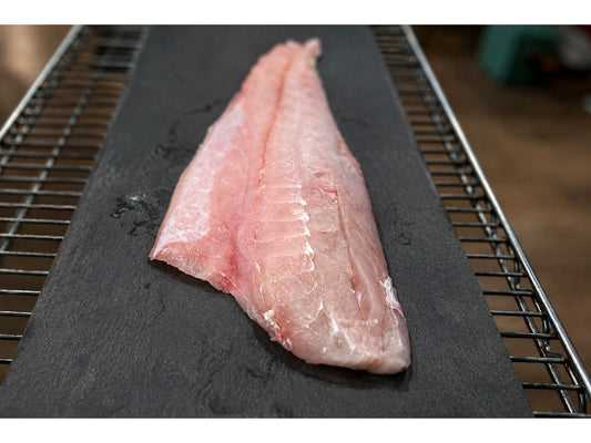 Golden Corvina