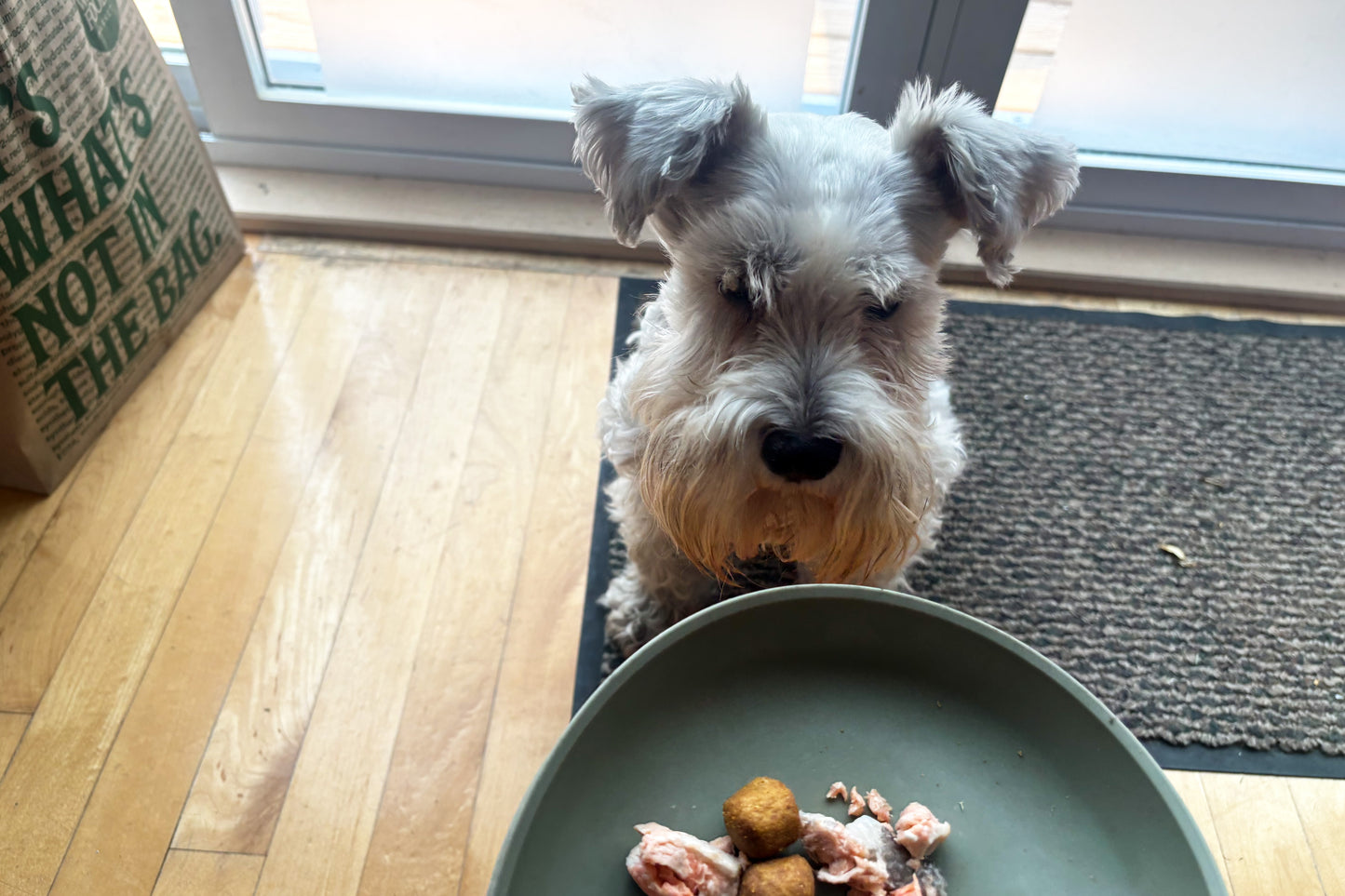 The Ultimate Pet Food Topper