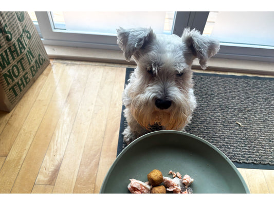 The Ultimate Pet Food Topper