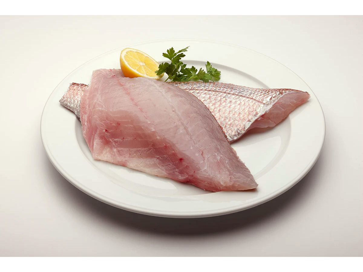 New Zealand Red Snapper
