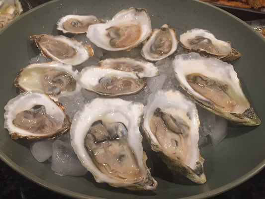 Raw oysters on a bed of ice in a dark green bowl