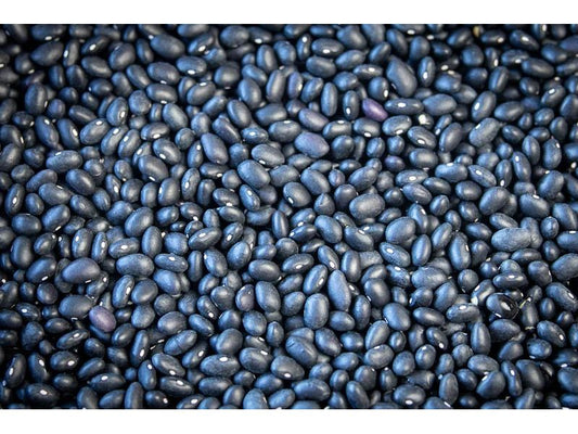 Rancho Gordo Midnight Black Beans
