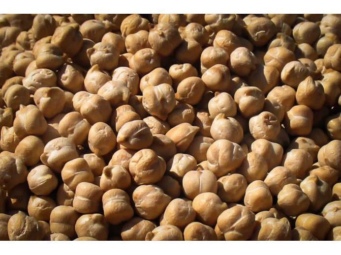 Rancho Gordo Garbanzo Beans (Chickpeas)