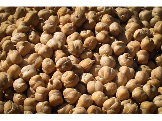 Rancho Gordo Garbanzo Beans (Chickpeas)