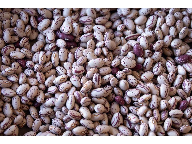 Rancho Gordo Cranberry Beans