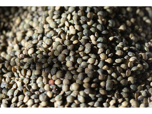 Rancho Gordo French-Style Green Lentils