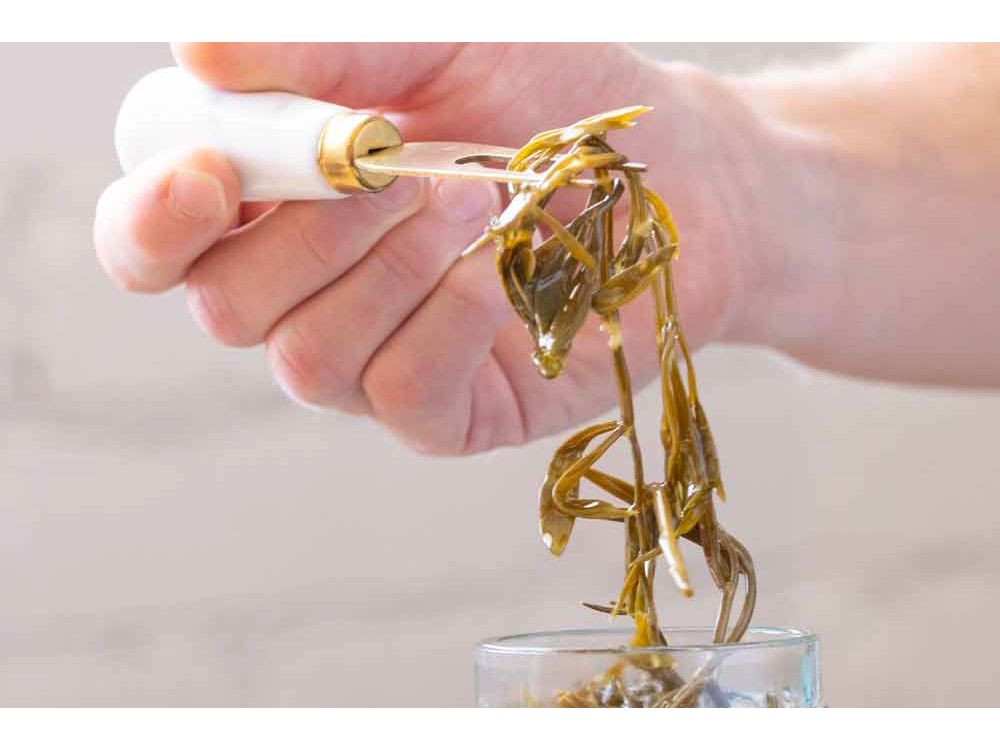 Rinci Pickled Sea Fennel