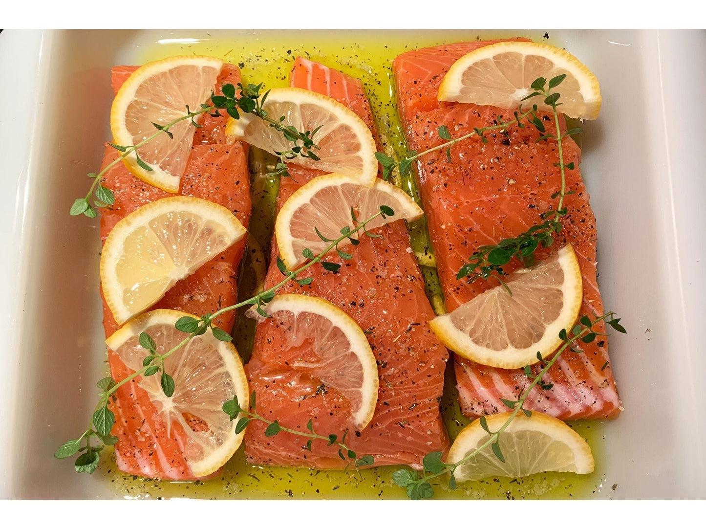 Coho Salmon