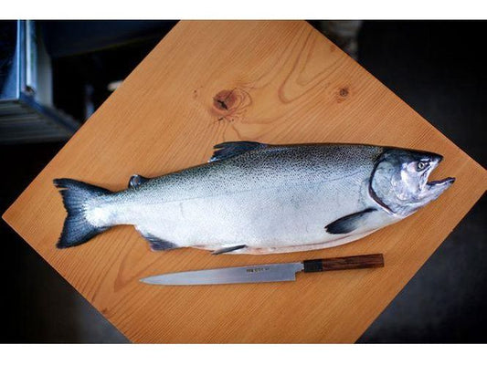 Creative King Salmon