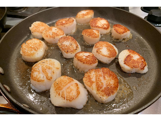 Hokkaido Sea Scallops