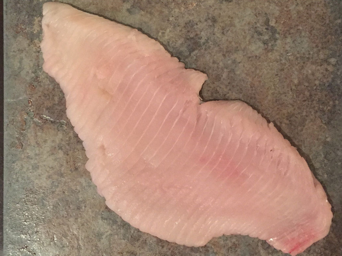 Atlantic Skate Wings