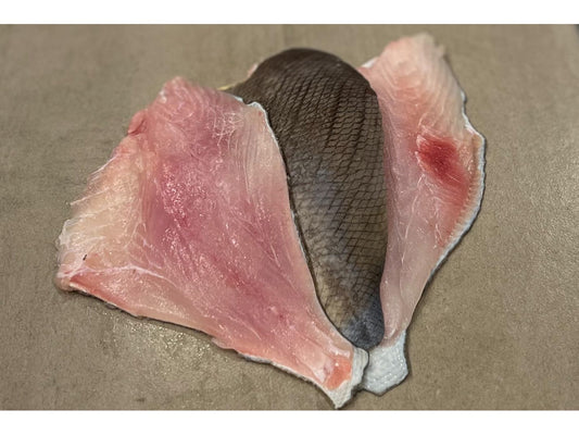 Triggerfish