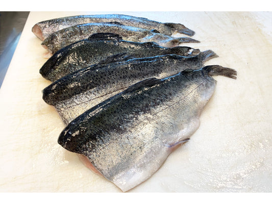 Rainbow Trout