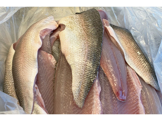 Whitefish